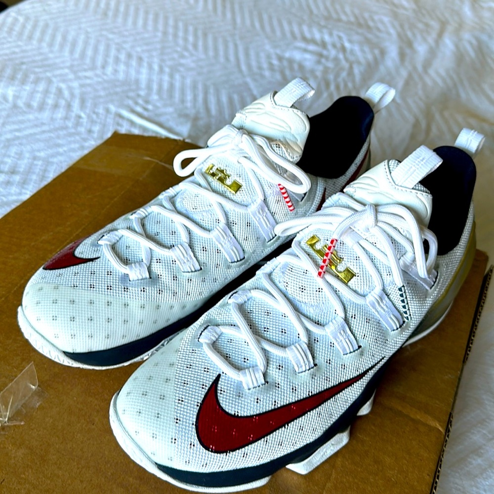 Nike Lebrons 13 Low